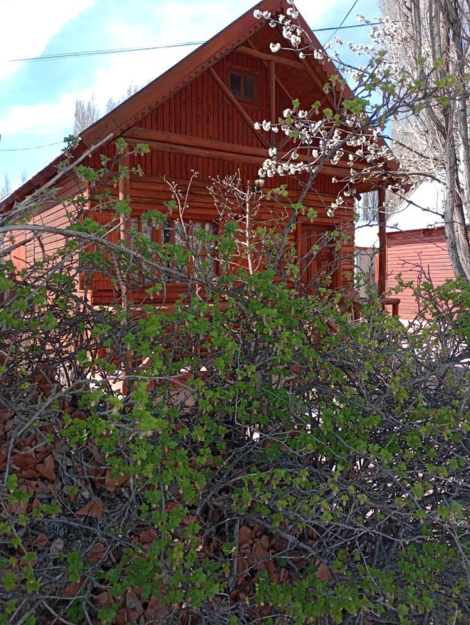 Cabanas Teushen Перито Морено Екстериор снимка